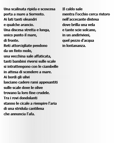 I narcisi