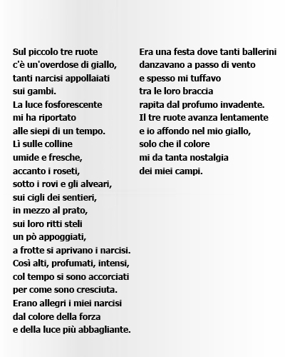 I narcisi